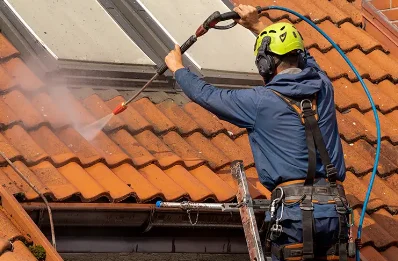Démoussage et hydrofuge de toiture à Cartigny