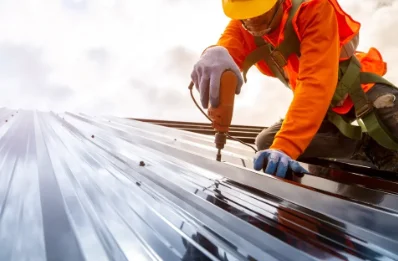 Travaux de zinguerie à Cartigny